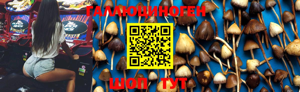 Галлюциногенные грибы MAGIC MUSHROOMS Лысьва